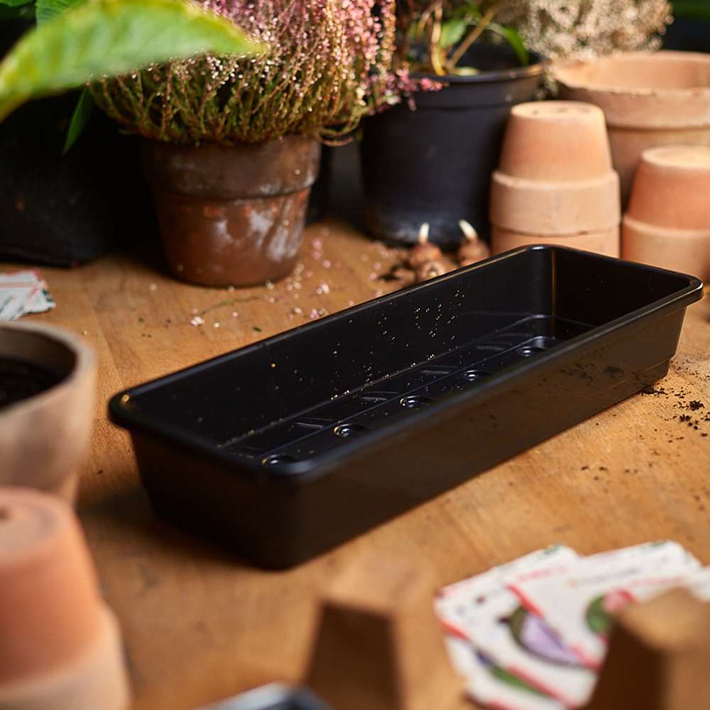 Smal sålåda med dräningshål